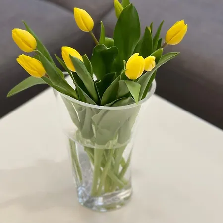 Golden Hour Apartments- Armii Krajowej 9 Appartement