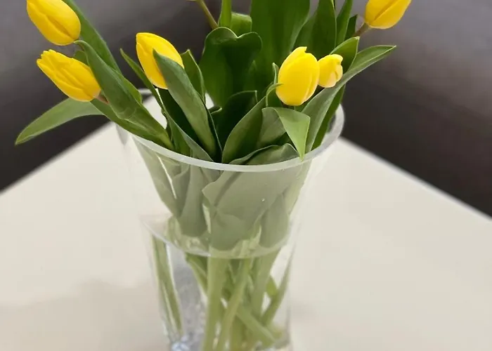 Golden Hour Apartments- Armii Krajowej 9 شقة